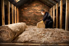 Best Eco-Friendly Insulation Solutions  in Shenandoah Junction, WV